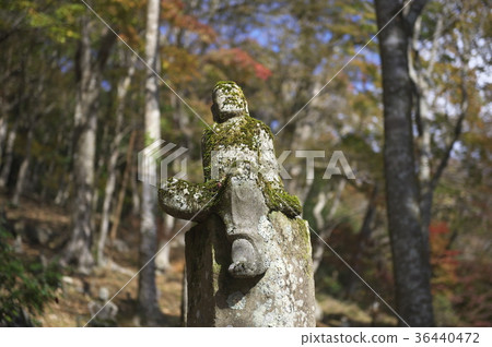 羅漢像長安寺一樣包裹著秋葉 羅漢像長安寺一樣包裹著秋葉 36440472