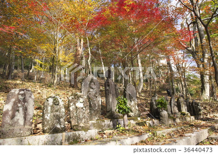 羅漢像長安寺一樣包裹著秋葉 羅漢像長安寺一樣包裹著秋葉 36440473