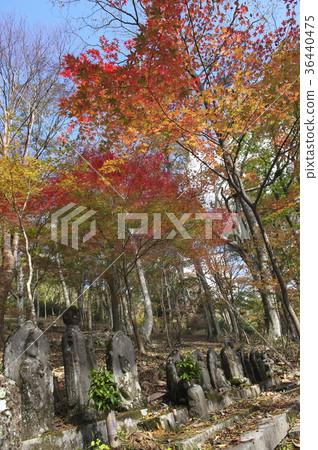 羅漢像長安寺一樣包裹著秋葉 羅漢像長安寺一樣包裹著秋葉 36440475