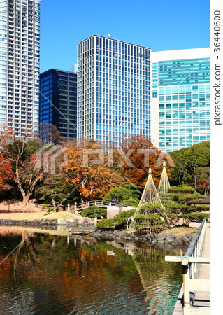 Hamarikyu Garden Hamarikyu Garden 36440600