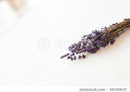 Dried flower lavender 5 36440635