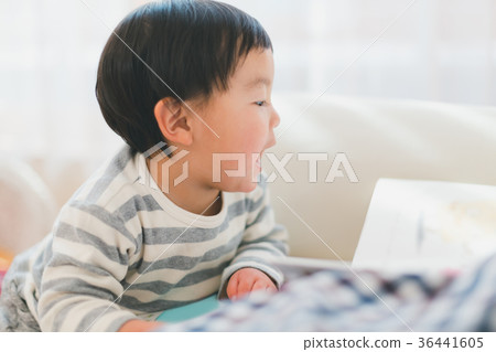 little child, toddler, younger 36441605