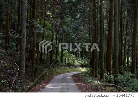 Izumi Ibaraki mountain trail 36441775