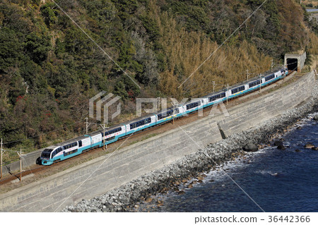 Superview舞者在伊豆海岸上奔跑。 2016年1月10日 36442366