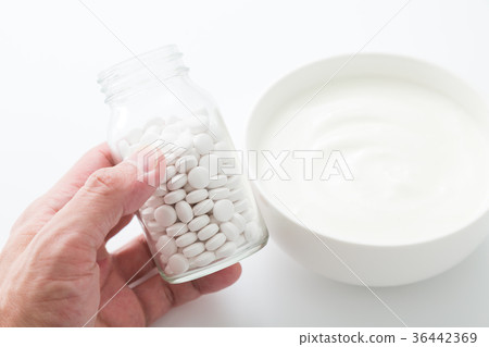 Yogurt Yogurt 36442369