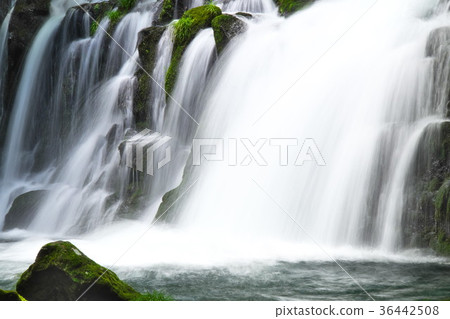 Tateshina Otaki Summer stream Tateshina Otaki Summer stream 36442508