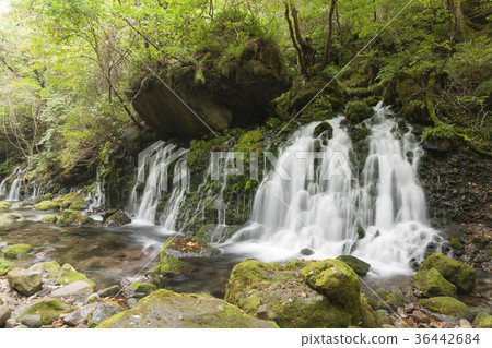 Mototaki的下水 Mototaki的下水 36442684