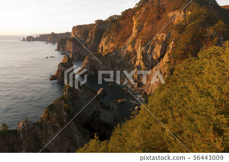 Kitayamazaki coast bathing in the morning sun Kitayamazaki coast bathing in the morning sun 36443009