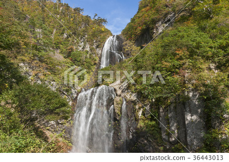Anse Waterfall 36443013