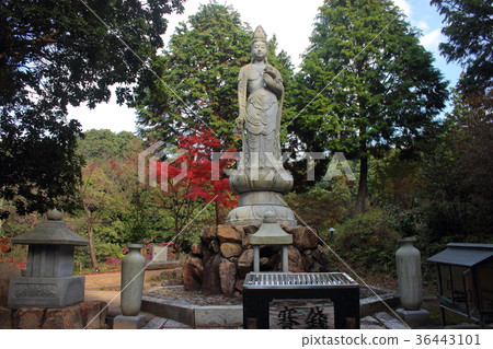 神聖的雕像 神聖的雕像 36443101