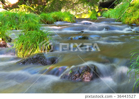 Tateshina Otakikami Summer stream Tateshina Otakikami Summer stream 36443527