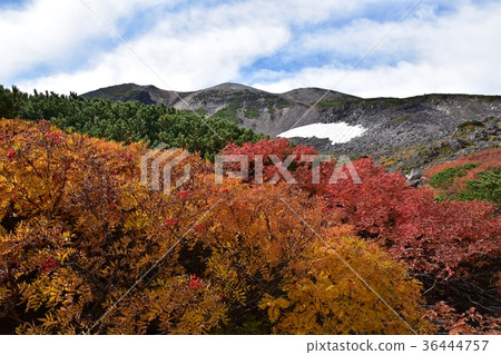 Mount Norikura at the peak of autumn leaves Mount Norikura at the peak of autumn leaves 36444757