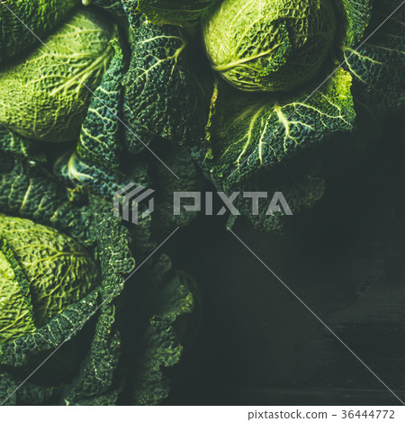 Raw fresh uncooked green cabbage, dark background 36444772