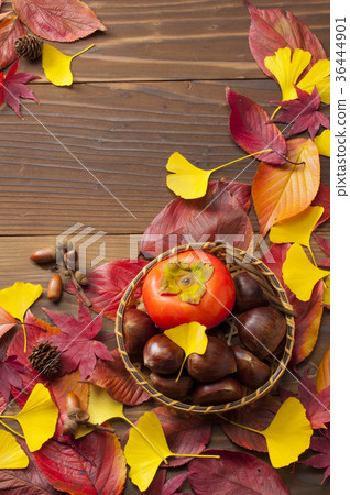 Fall image Fall image 36444901