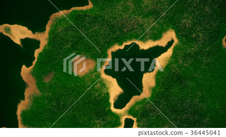 Satellite View of Wild Green Lush Nature Area 36445041