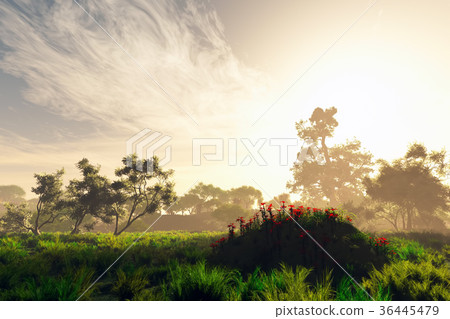 Wonderful Fairy Tale Magical Summer Field 36445479
