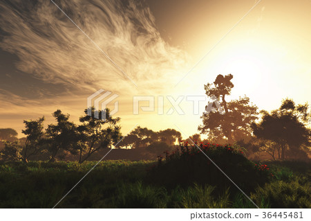 Wonderful Fairy Tale Magical Summer Field 36445481