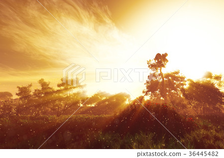 Wonderful Fairy Tale Magical Summer Field 36445482
