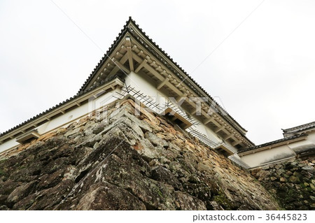 Kochi Castle Kochi Castle 36445823