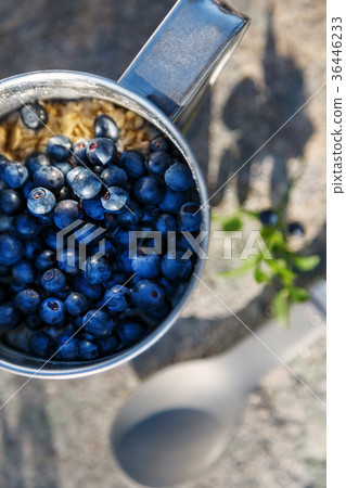 A metal mug full of blueberries with oatmeal  36446233