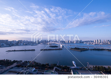 禦台場彩虹橋 禦台場彩虹橋 36446301