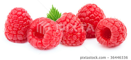 Five ripe raspberries isolated 36446336