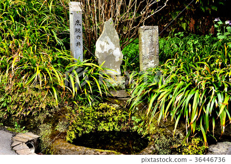 Bottom of the well in front of Kaizojimon 36446736