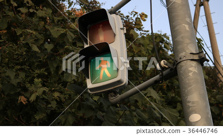 traffic lights  36446746