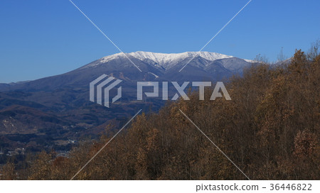 Snow makeup 36446822