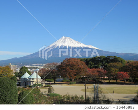 Blue sky and Mt. Fuji Blue sky and Mt. Fuji 36446992
