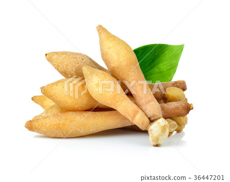 Fingerroot, Kaempfer, Boesenbergia  36447201