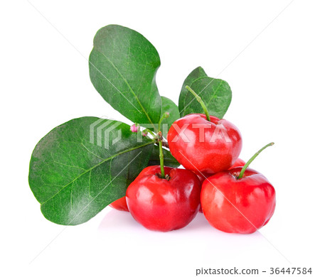 Barbados cherry on white background 36447584