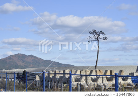 奇蹟ichimatsumatsu 2017秋天 36447806