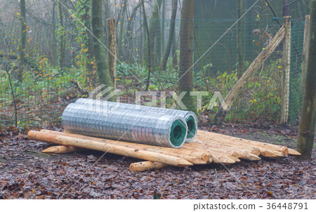 Fence waiting to be renewed 36448791