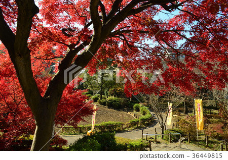秋天民間醫學池塘公園 秋天民間醫學池塘公園 36449815