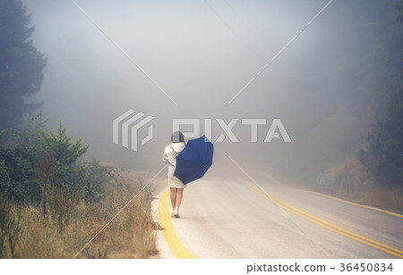 female in a raincoat and umbrella on the road female in a raincoat and umbrella on the road 36450834