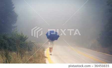 female in a raincoat and umbrella on the road female in a raincoat and umbrella on the road 36450835