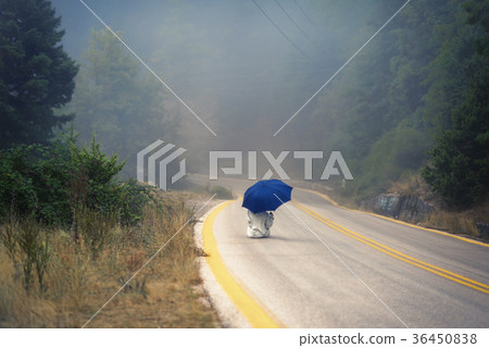 female in a raincoat and umbrella on the road female in a raincoat and umbrella on the road 36450838