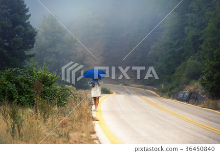 female in a raincoat and umbrella on the road female in a raincoat and umbrella on the road 36450840