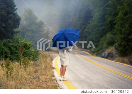 female in a raincoat and umbrella on the road female in a raincoat and umbrella on the road 36450842