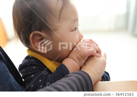 吮手指的寶貝（抱著媽媽的手） 36451563