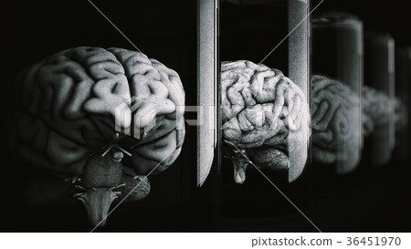 Human Brains in Science Laboratory Glasses 36451970