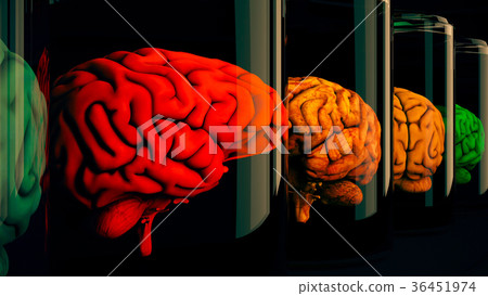 Human Brains in Science Laboratory Glasses 36451974