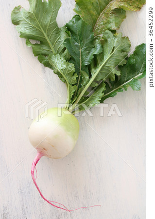 Red Core Daikon Red Core Daikon 36452299