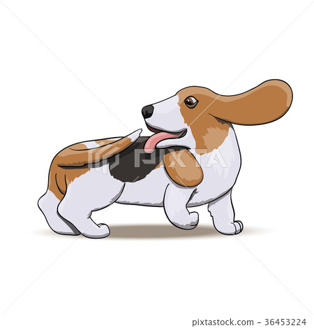 Basset Hound Chasing his Tail Cartoon Illustration Basset Hound Chasing his Tail Cartoon Illustration 36453224