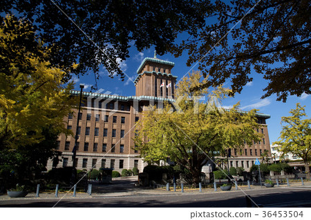 Kanagawa prefectural government office [late autumn] 36453504