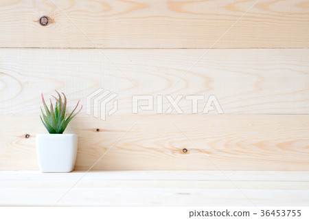 succulent plant in a little pot on wooden table succulent plant in a little pot on wooden table 36453755