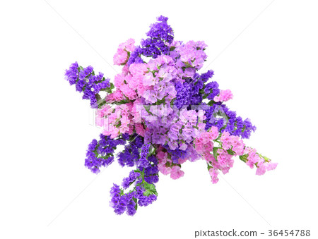 Statue's bouquet Statue's bouquet 36454788