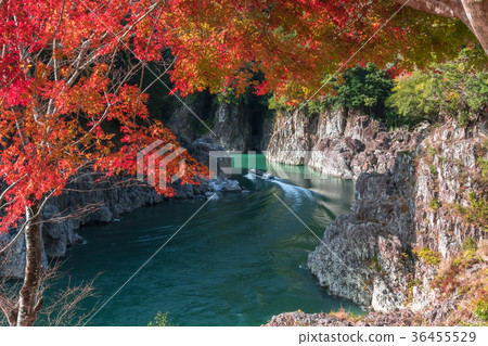 Fall Gorge 36455529