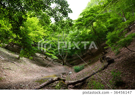 登山Unagatake的山路 36456147